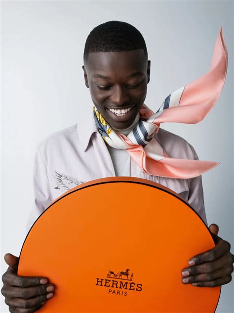 hermes ads|hermes promotional picture.